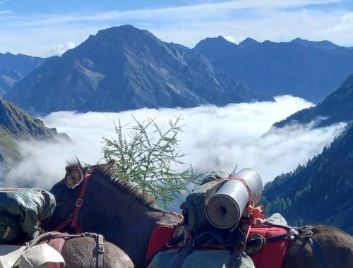 randonnee avec un ane dans le parc national des ecrins dans le champsaur de 5 jours sejour montagne