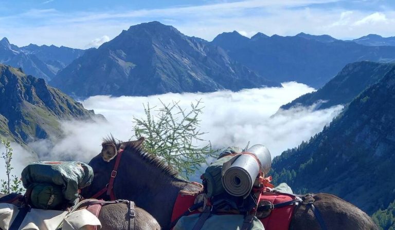 randonnee avec un ane dans le parc national des ecrins dans le champsaur de 5 jours sejour montagne