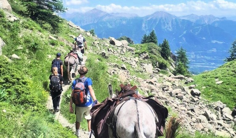 rando ane accompagnee parc national des ecrins montagne sejour famille