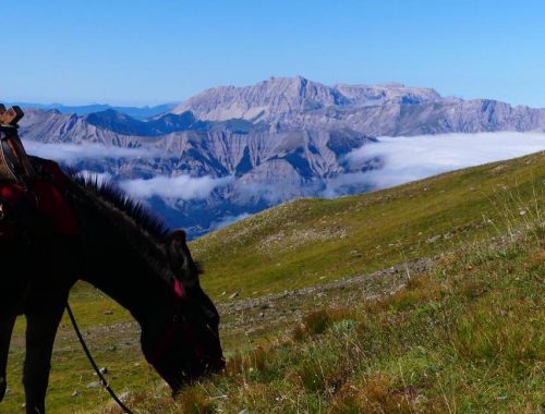 rando ane accompagnee en montagne dans le parc national des ecrins champsaur 5 jours
