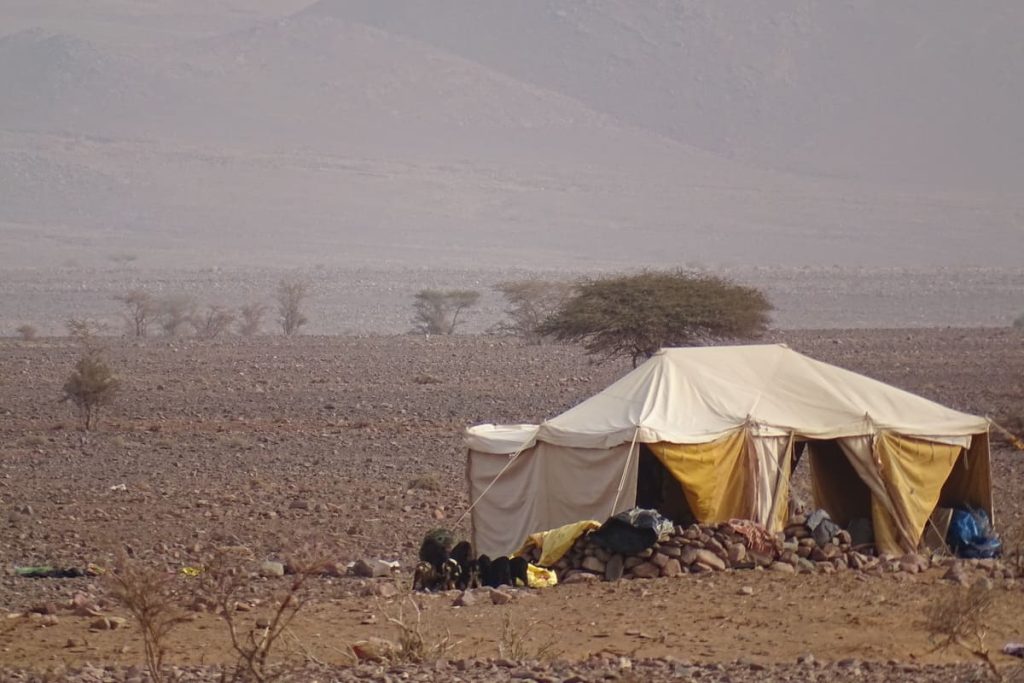 tente_nomade maroclbrando3-1200